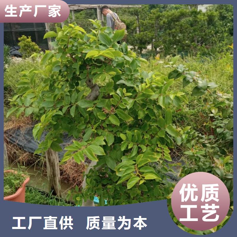 打樁泥漿固化劑淤泥固化土報價