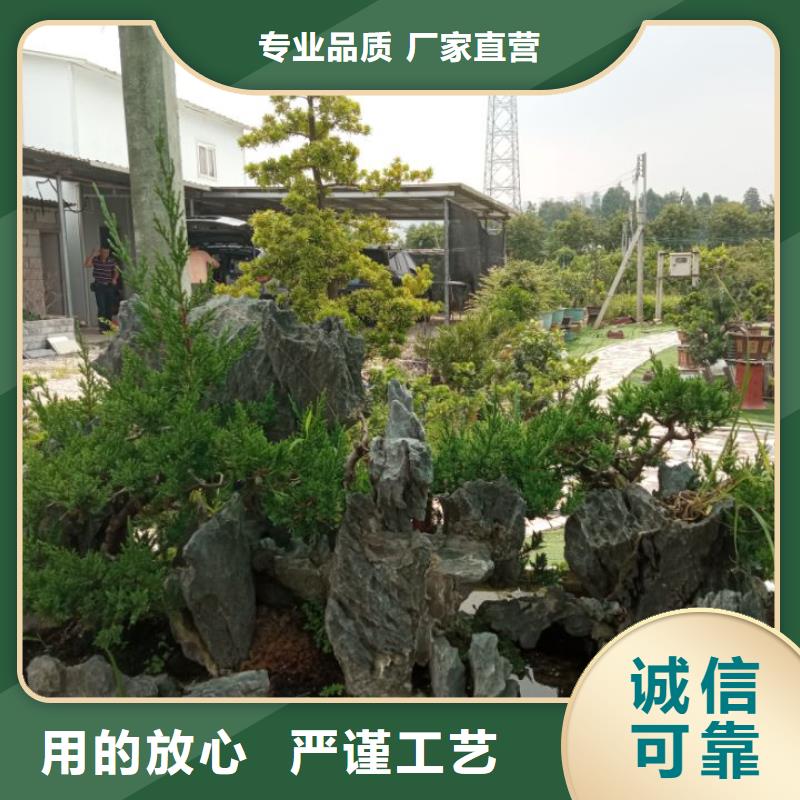 市政泥浆固化剂建筑场地地基处理固化土价格