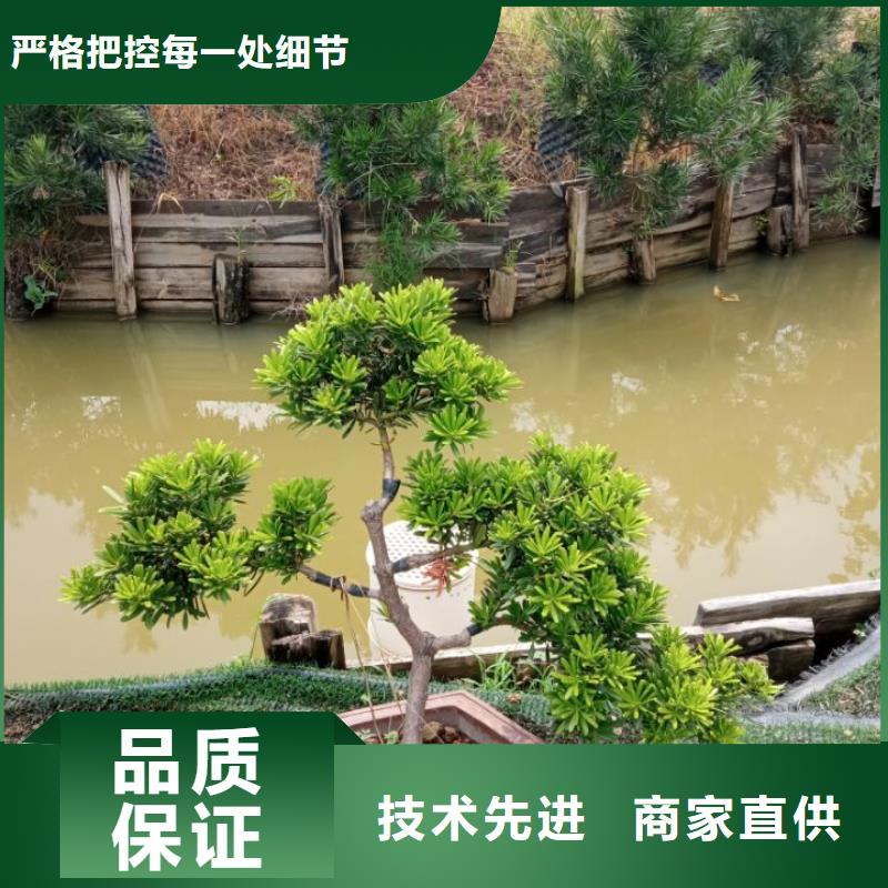 广东污泥改性固化剂滩涂海泥固化固化土厂家