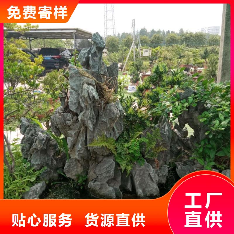 高分子土壤固化河道池塘淤泥處理批發(fā)