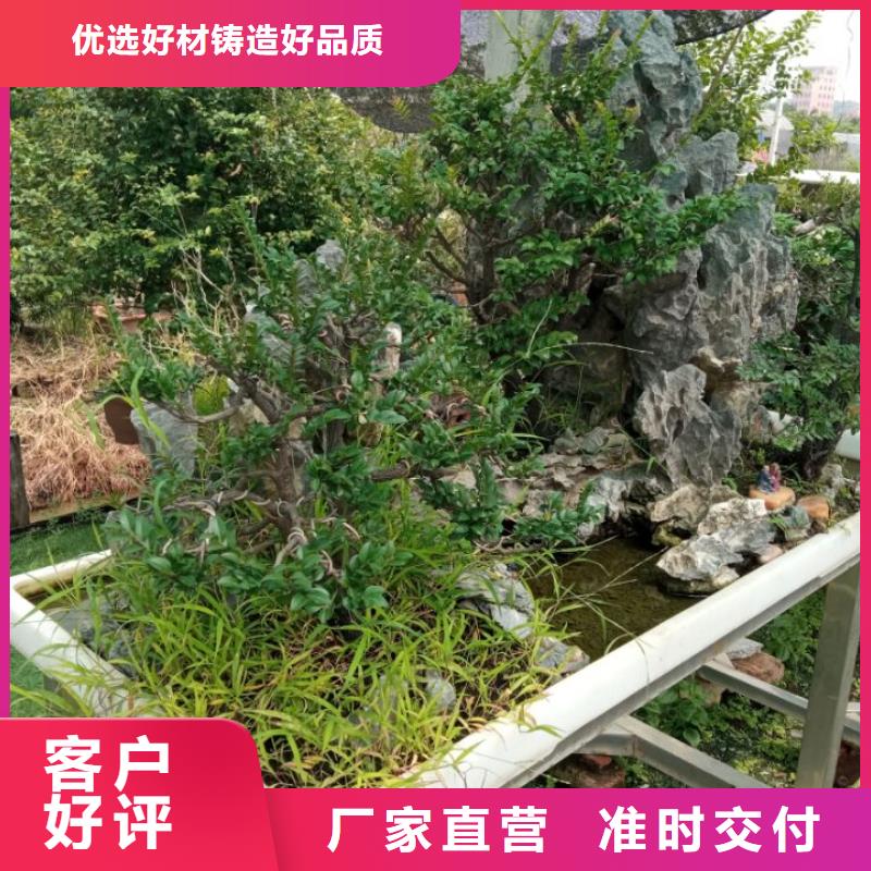 广东沙漠沙土固化剂河湖淤泥固化固化土厂家