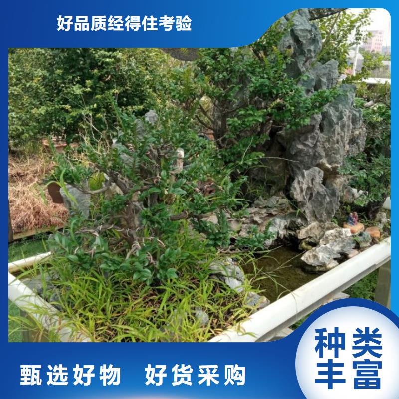 尾矿泥浆固化剂淤泥固化土图片