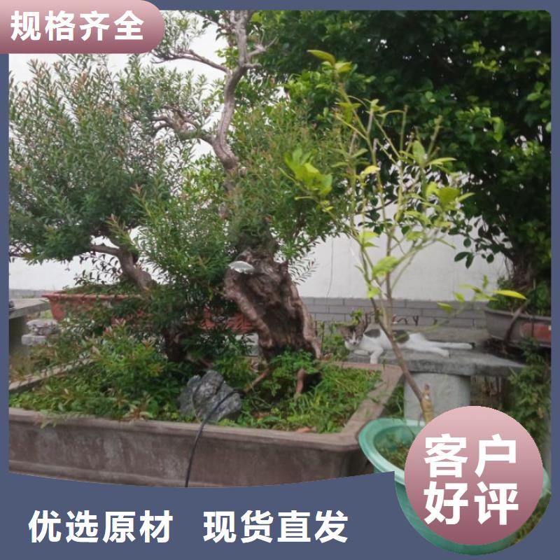 淤泥改性固化劑洗煤泥漿處理批發
