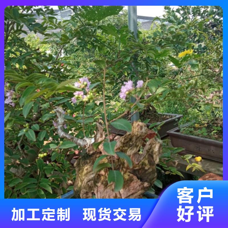 儒亿园林绿化种植土壤标准西安园林绿化营养土实力厂家