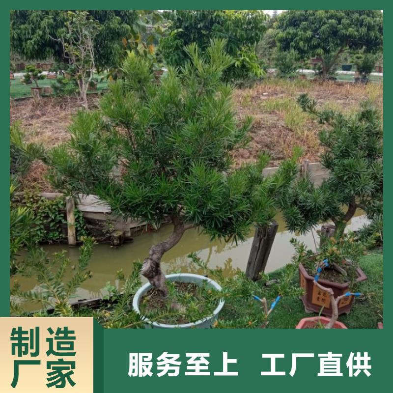 西安厂房屋面喷漆翻新儒亿建筑修缮维修好不好