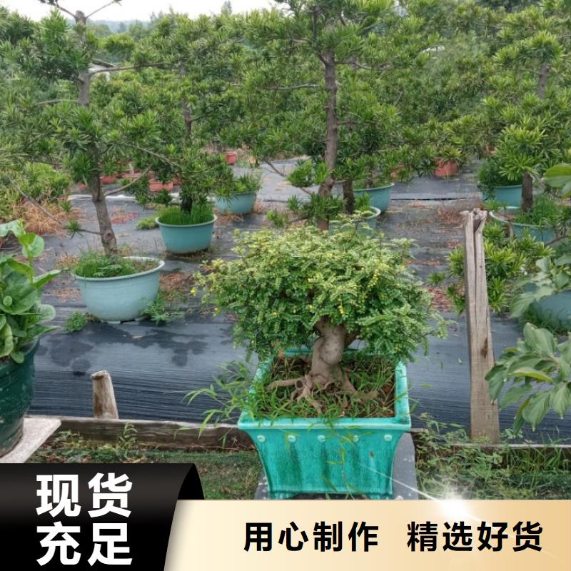 西安结构加固修缮维修房屋渗漏水咨询维修报价