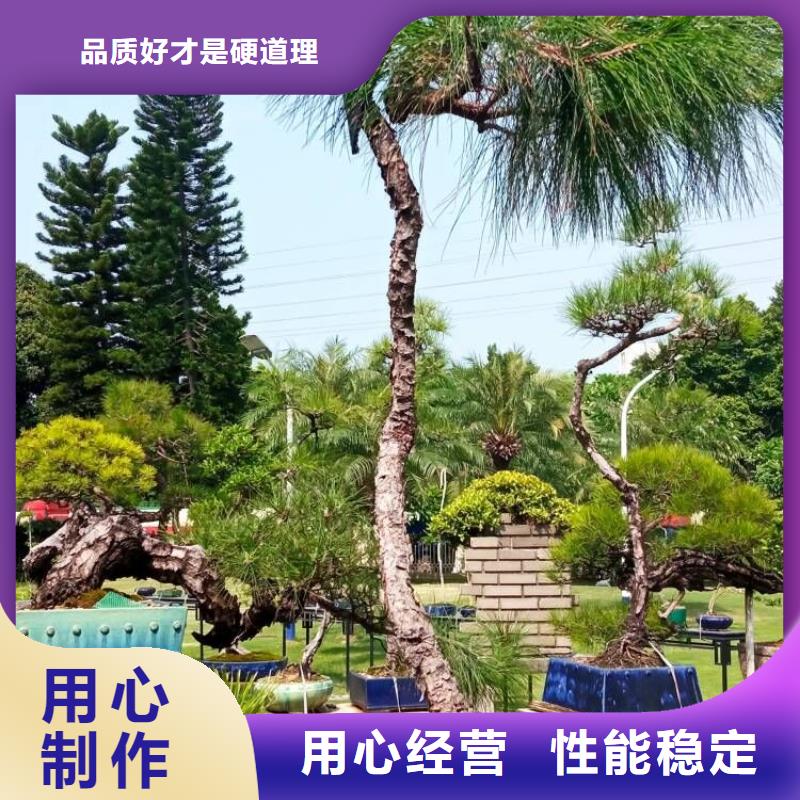 儒亿园林绿化营养土多少钱一吨西安园林绿化营养土订制