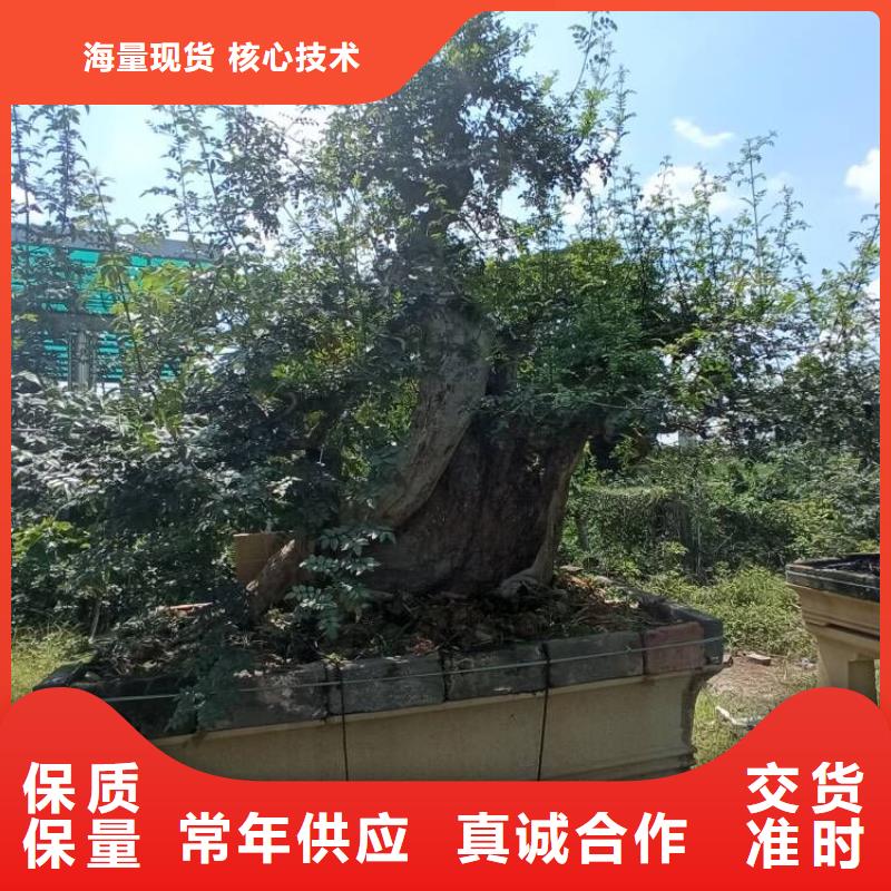 西安装饰装璜维修修缮建筑工程保修后价格