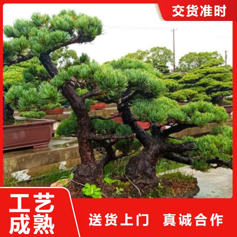 彩鋼瓦隔熱降溫施工報價
