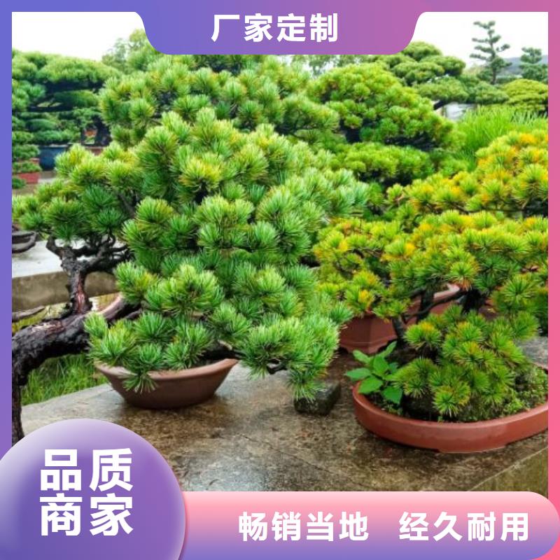 西安網(wǎng)架防腐噴漆維修儒億建筑維修房屋修繕價格