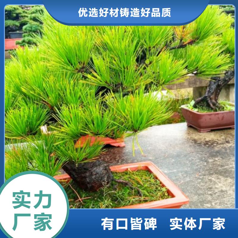 鋼結構屋面防水除銹噴漆安儒億建筑維修房屋修繕維修報價