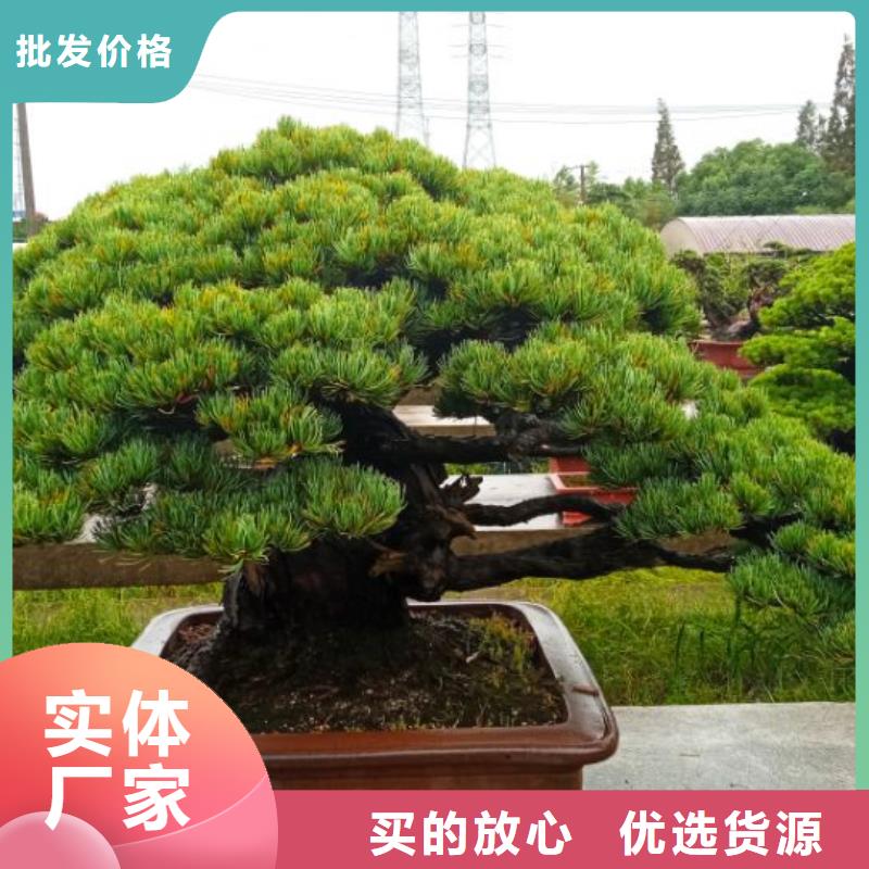 鋼結構廠房漏水維修安儒億建筑維修房屋修繕維修報價