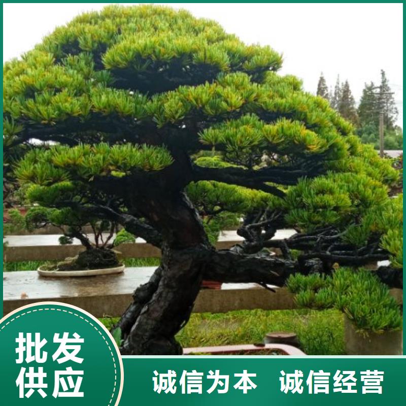 西安網架防腐噴漆維修儒億建筑維修房屋修繕價格