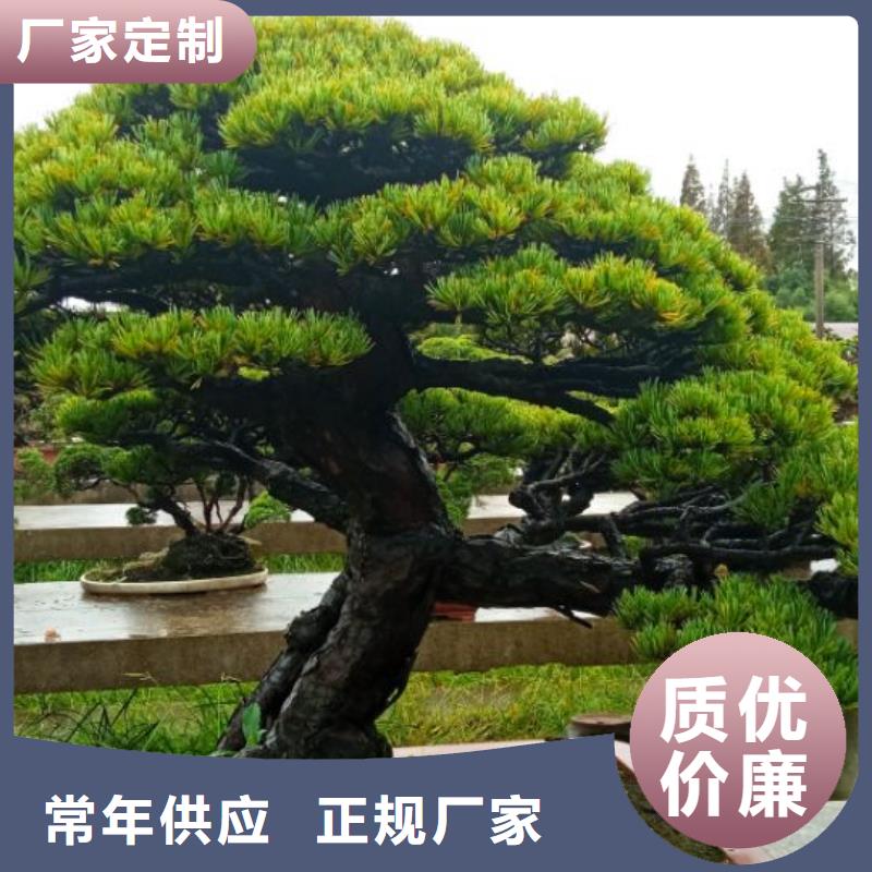 西安賓館大廈外墻刷涂料儒億建筑維修房屋修繕價格