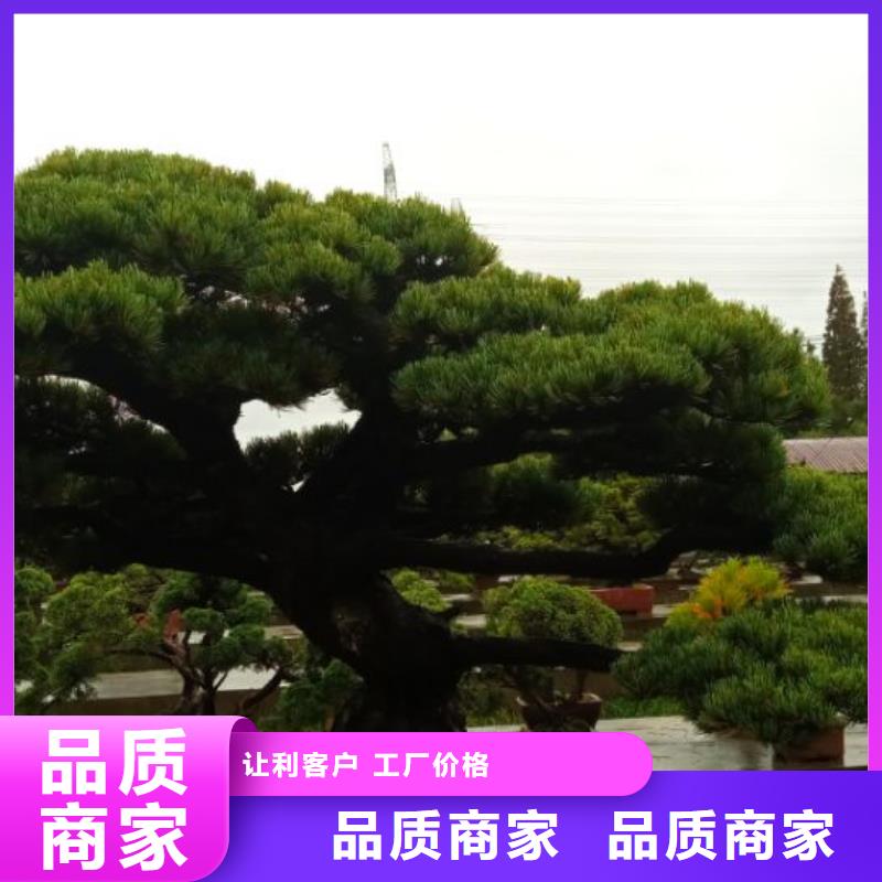 西安網架防腐噴漆維修儒億建筑維修房屋修繕價格