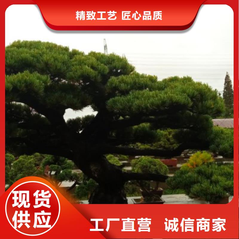西安球形網(wǎng)架防腐維修儒億建筑維修房屋修繕價格