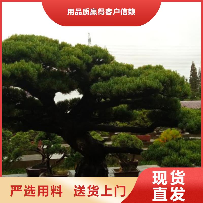 西安球形網架防腐維修儒億建筑維修房屋修繕報價