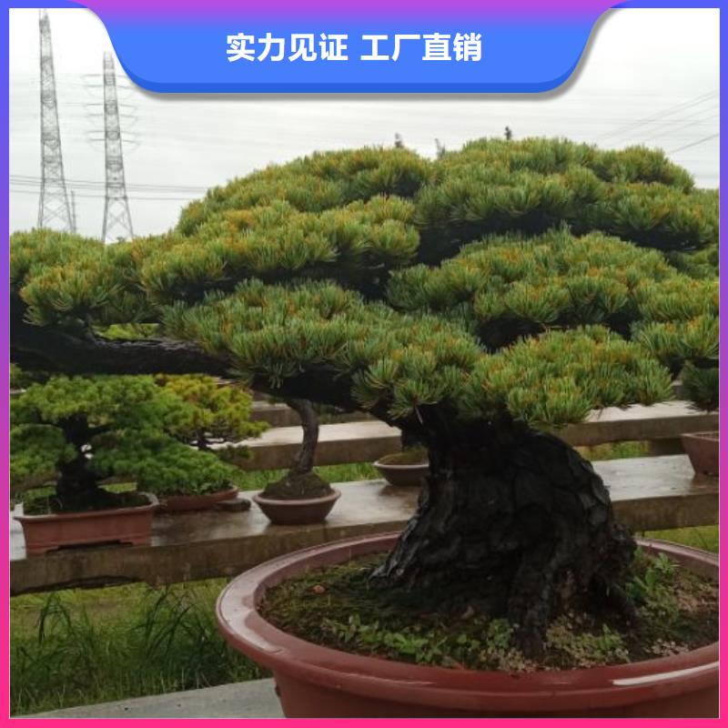 西安球形網架防腐維修儒億建筑維修房屋修繕價格