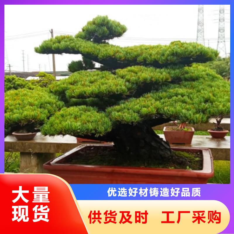 西安球形網(wǎng)架防腐維修儒億建筑維修房屋修繕價(jià)格