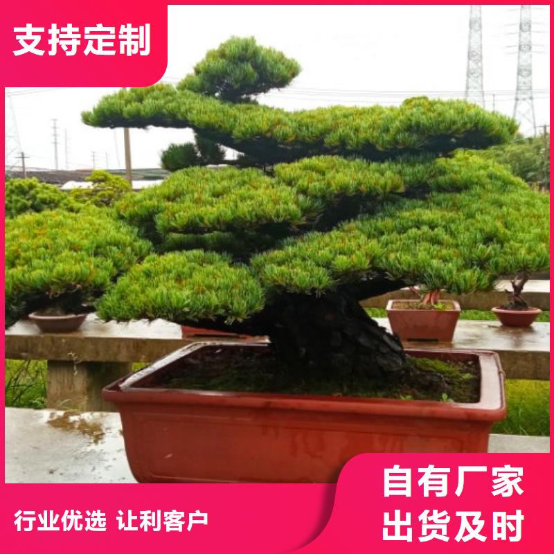廠房屋面防水除銹噴漆安儒億建筑維修房屋修繕施工報價