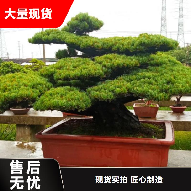 西安網(wǎng)架防腐噴漆維修儒億建筑維修房屋修繕價格