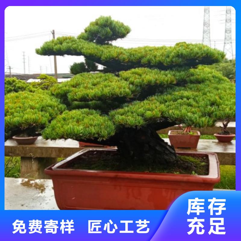 彩鋼瓦封口機防水施工報價