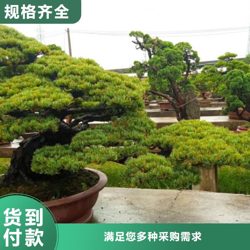 西安廠房車間刷涂料粉刷儒億建筑維修房屋修繕報(bào)價(jià)