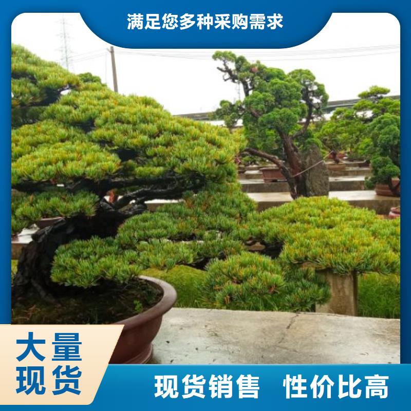 彩鋼瓦屋面除銹噴漆防腐翻新維修報價