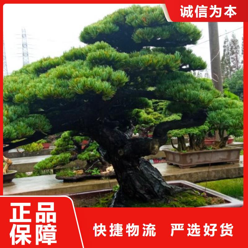 西安網(wǎng)架防腐噴漆維修儒億建筑維修房屋修繕價格