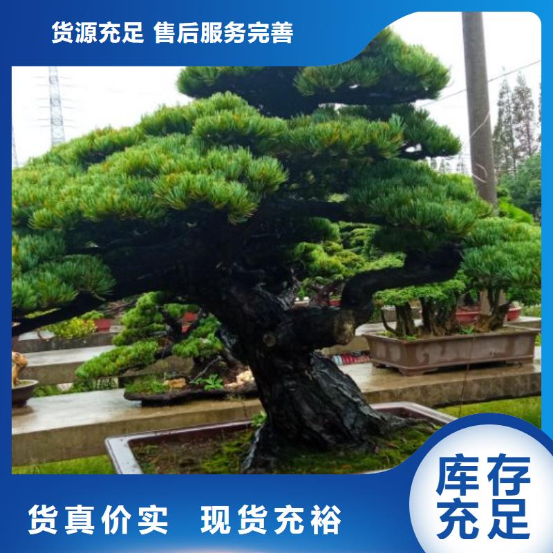 隔熱曬不熱屋頂屋面防水彩鋼瓦鐵皮屋頂防曬施工報價