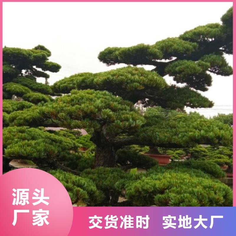 西安賓館大廈外墻刷涂料儒億建筑維修房屋修繕價格