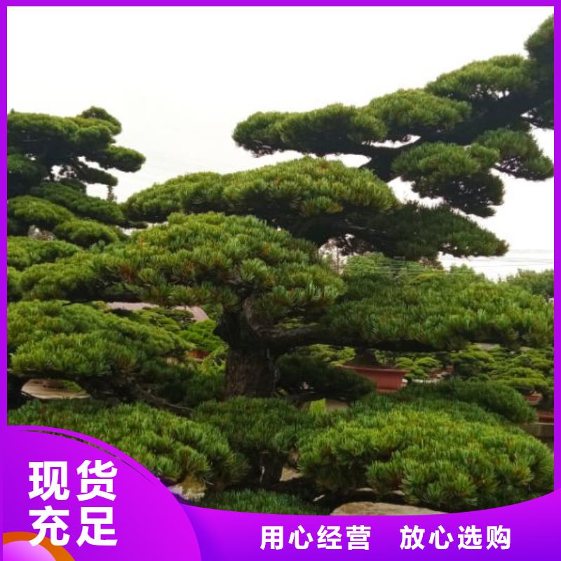 西安網架防腐噴漆維修儒億建筑維修房屋修繕價格
