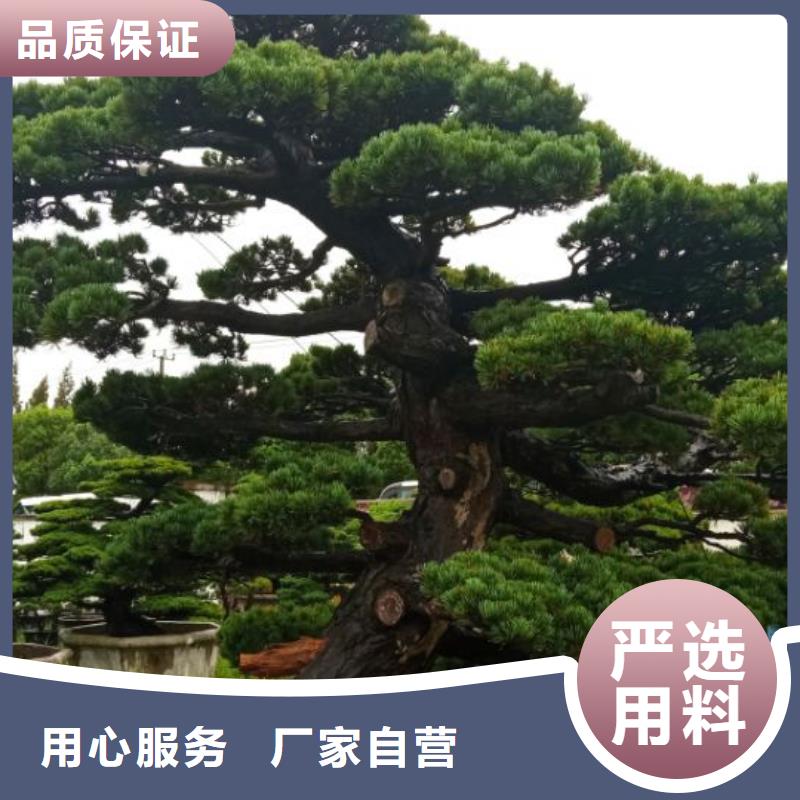 西安廠房車間刷涂料粉刷儒億建筑維修房屋修繕價格