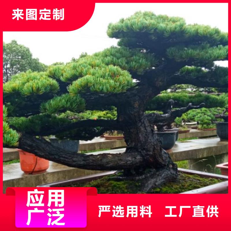 西安球形網架防腐維修儒億建筑維修房屋修繕報價
