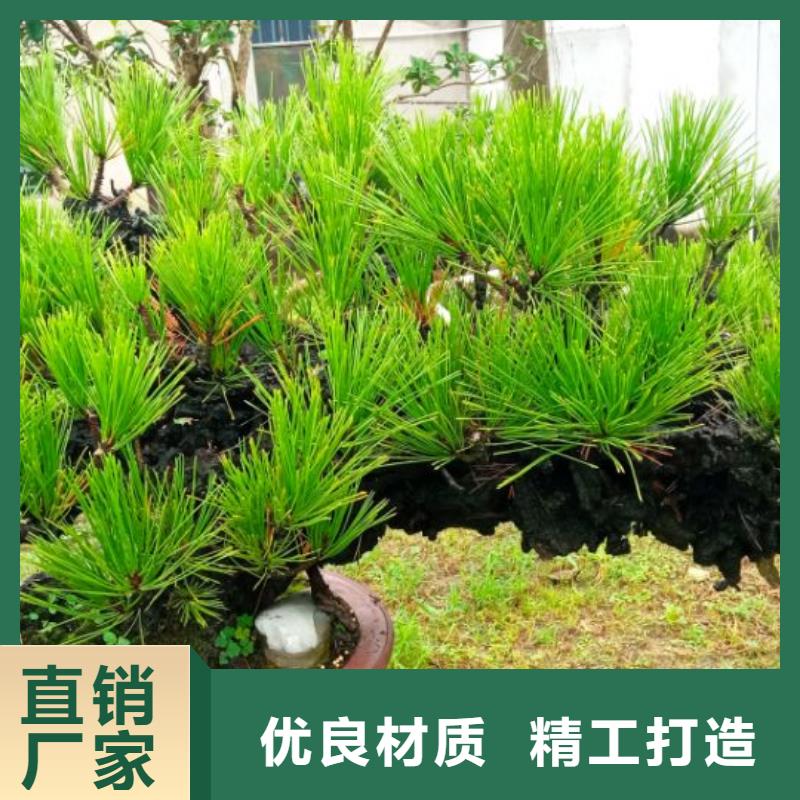 西安賓館大廈外墻刷涂料儒億建筑維修房屋修繕報價