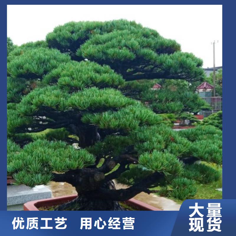西安網(wǎng)架防腐噴漆維修儒億建筑維修房屋修繕價格