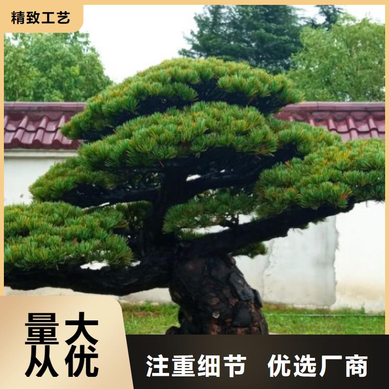 西安球形網架防腐維修儒億建筑維修房屋修繕價格