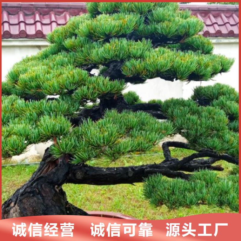 廠房屋面防水除銹噴漆安儒億建筑維修房屋修繕施工方案