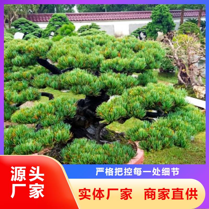 西安球形網架防腐維修儒億建筑維修房屋修繕價格