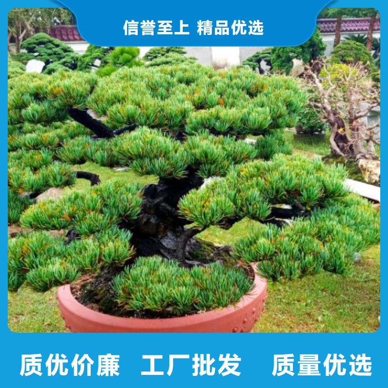 金屬屋面除銹翻新|車間屋頂漏水維修|金屬屋面防水防腐翻修公司維修方案