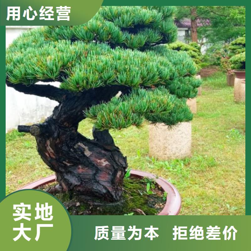 西安網架防腐噴漆維修儒億建筑維修房屋修繕價格