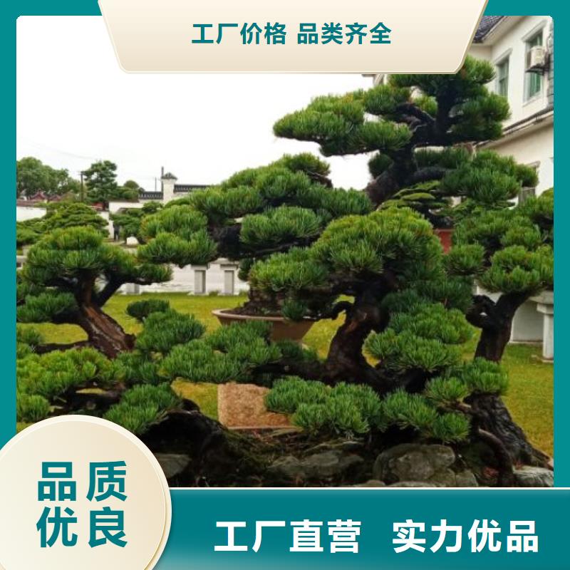 地下工程堵漏維修陜西安儒億建筑維修房屋修繕維修方案