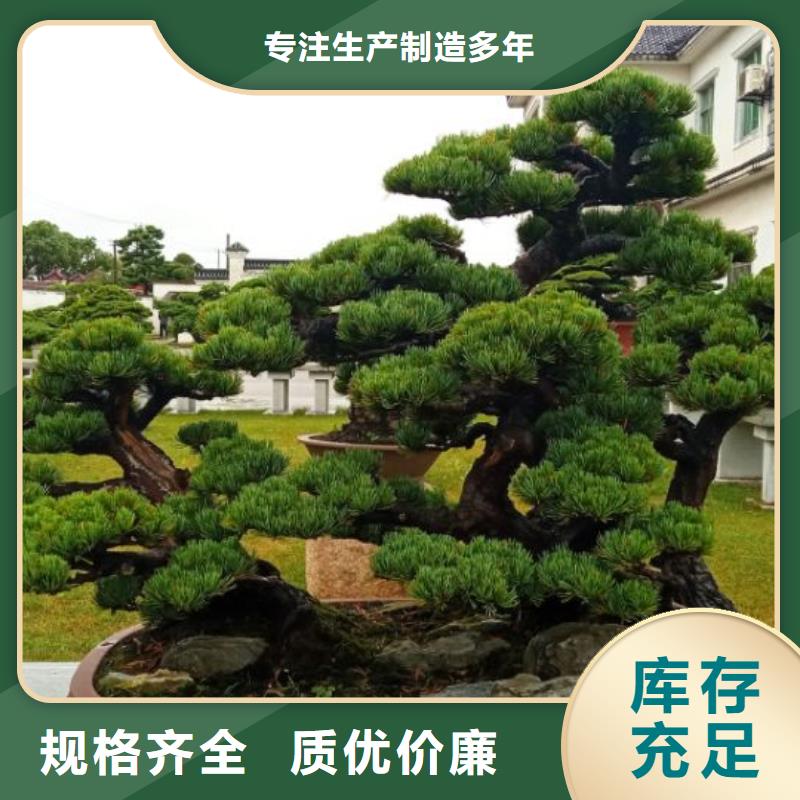 西安網(wǎng)架防腐噴漆維修儒億建筑維修房屋修繕價格