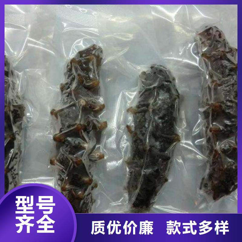 界首全自动真空机应用范围广泛