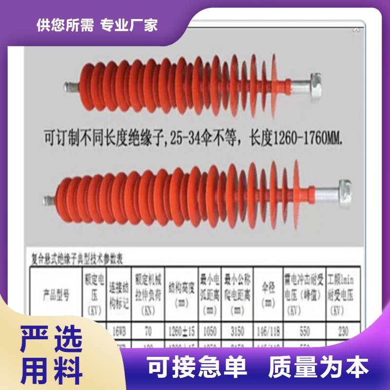 氧化锌避雷器_我们是厂家