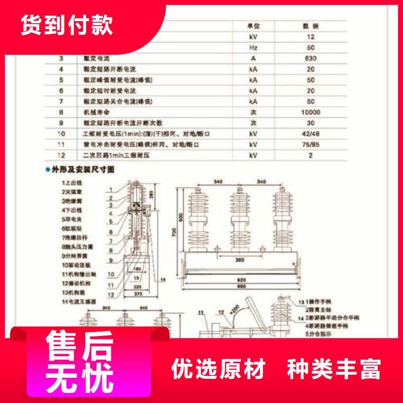 真空断路器-实力厂家