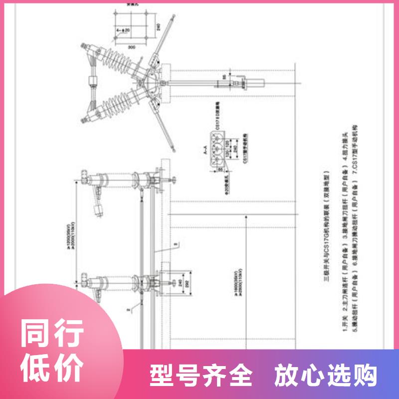 隔离开关原厂正品