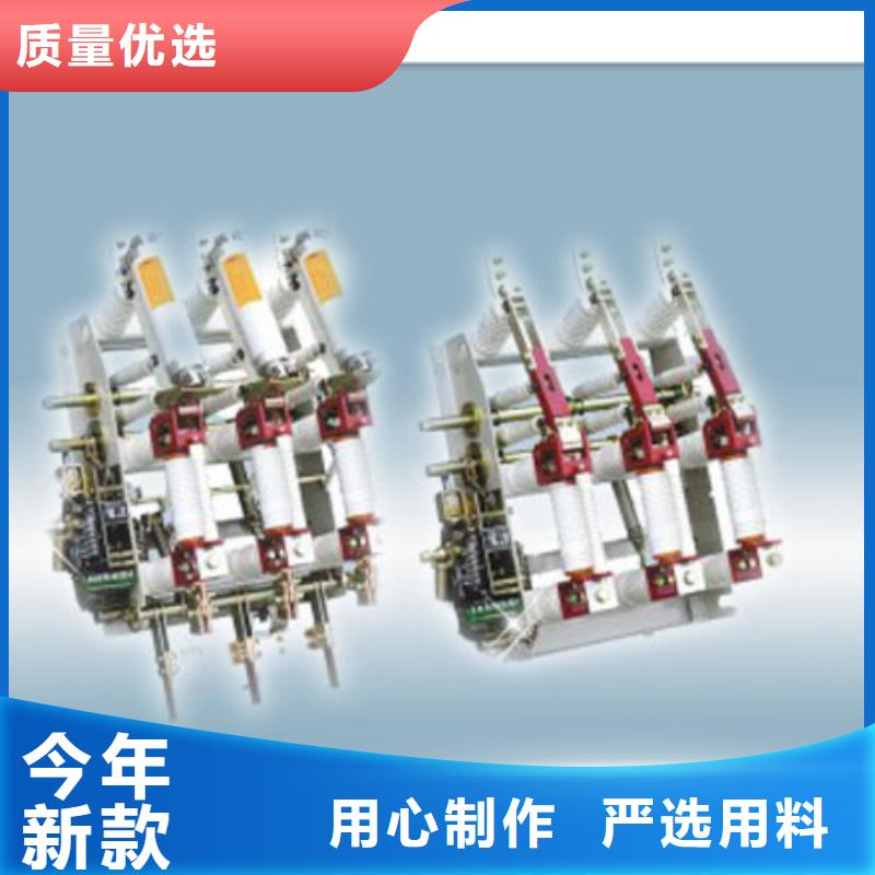 优惠的接地开关负荷开关实力厂家