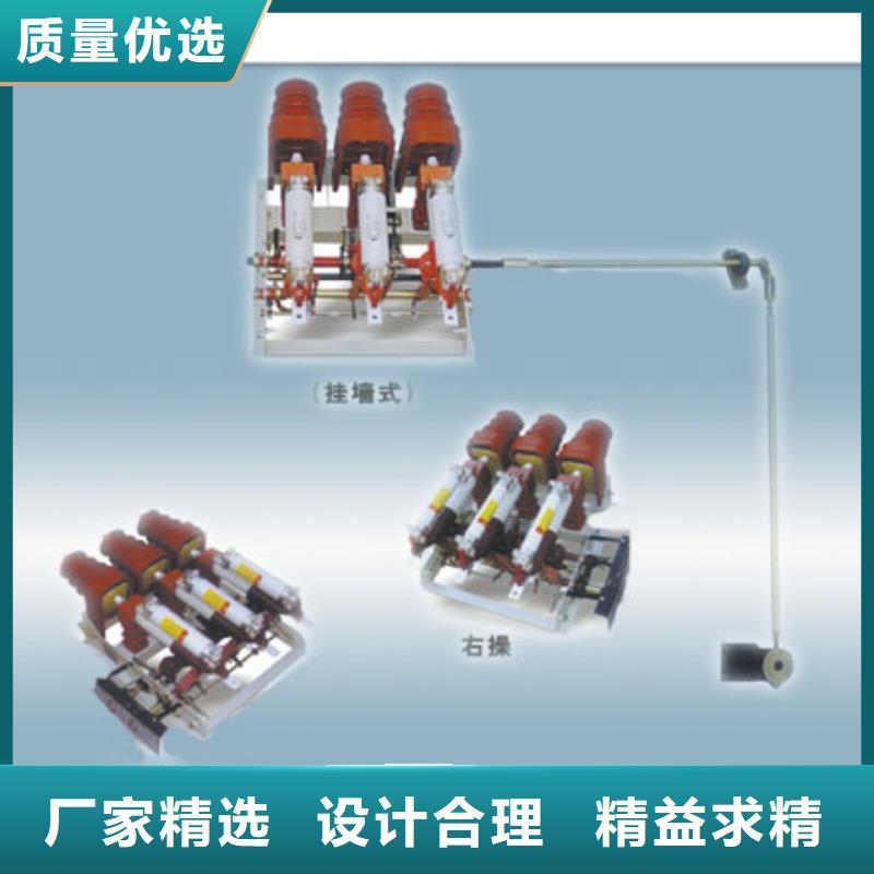 接地开关负荷开关精选厂商