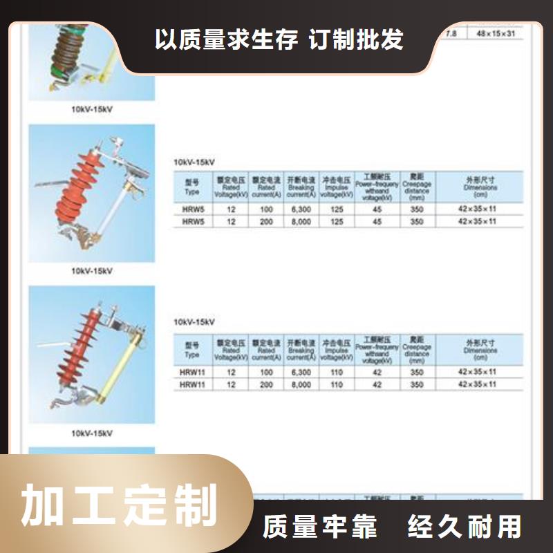 常年供应熔断器厂家
